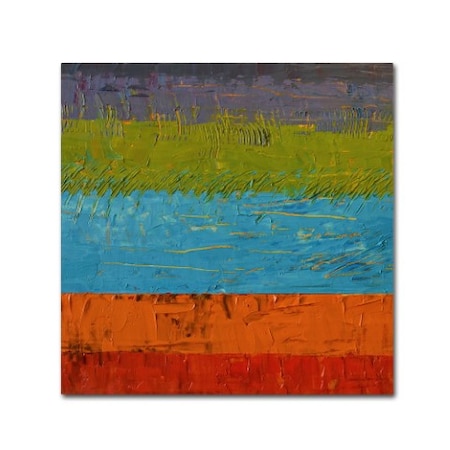 Michelle Calkins 'Wetlands' Canvas Art,14x14